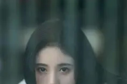 网红书记